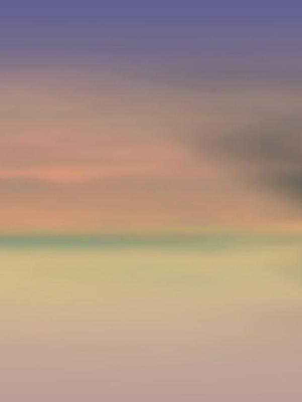 Sentinels
